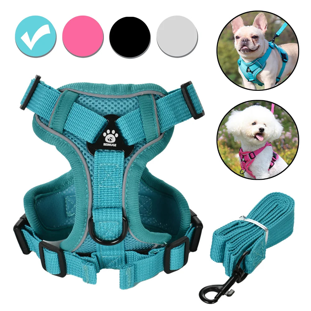 Set de arnés y correa ajustable para perro