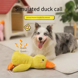Pato de peluche para dormir con tu perro