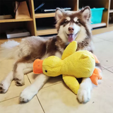 Pato de peluche para dormir con tu perro
