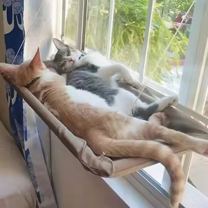 Hamaca-cama de ventana para gatos (todas las estaciones)