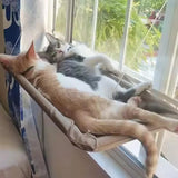 Hamaca-cama de ventana para gatos (todas las estaciones)