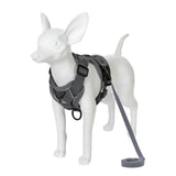 Set de arnés y correa ajustable para perro
