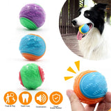 Mordedor interactivo de TPR para perros