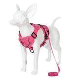 Set de arnés y correa ajustable para perro