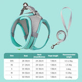 Set de arnés ajustable para cachorro