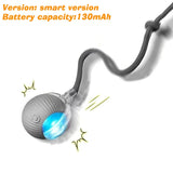Pelota interactiva automática para perro (recargable)