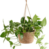 Macetero colgante de macramé para plantas