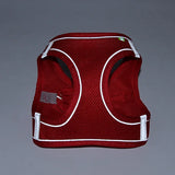 Set de arnés ajustable para cachorro