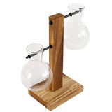 Jarrón de cristal para esquejes