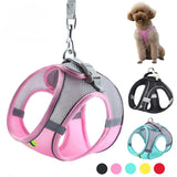 Set de arnés ajustable para cachorro