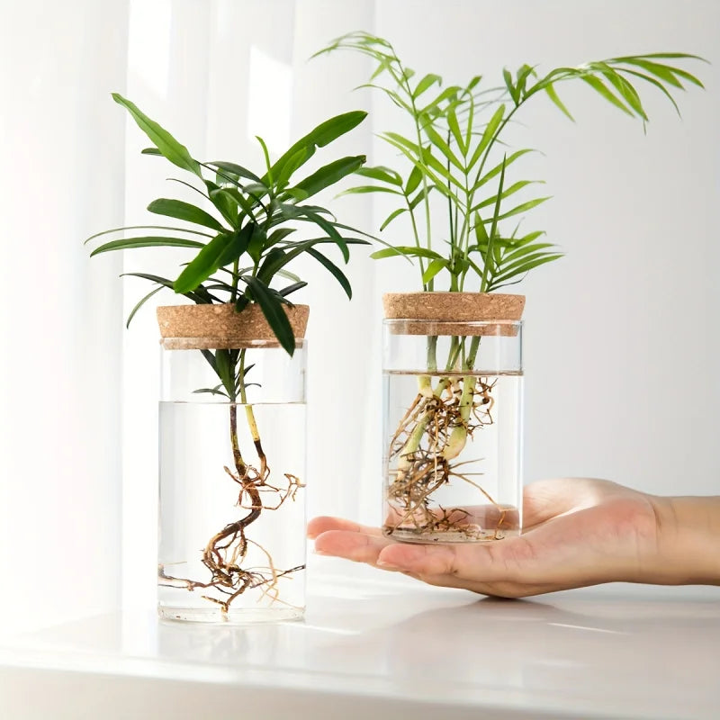 Jarrón de cristal para plantas de agua