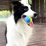Mordedor interactivo de TPR para perros