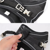 Set de arnés ajustable para cachorro