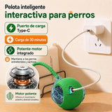 Pelota interactiva automática para perro (recargable)