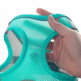 Set de arnés ajustable para cachorro