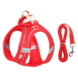 Set de arnés ajustable para cachorro