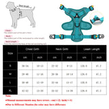 Set de arnés y correa ajustable para perro
