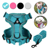 Set de arnés y correa ajustable para perro