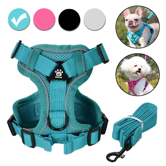 Set de arnés y correa ajustable para perro