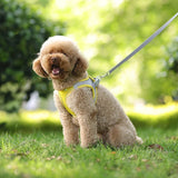 Set de arnés ajustable para cachorro